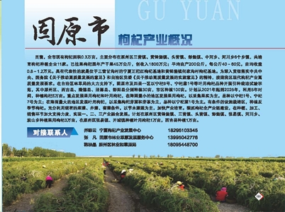 固原市枸杞产业概况.jpg
